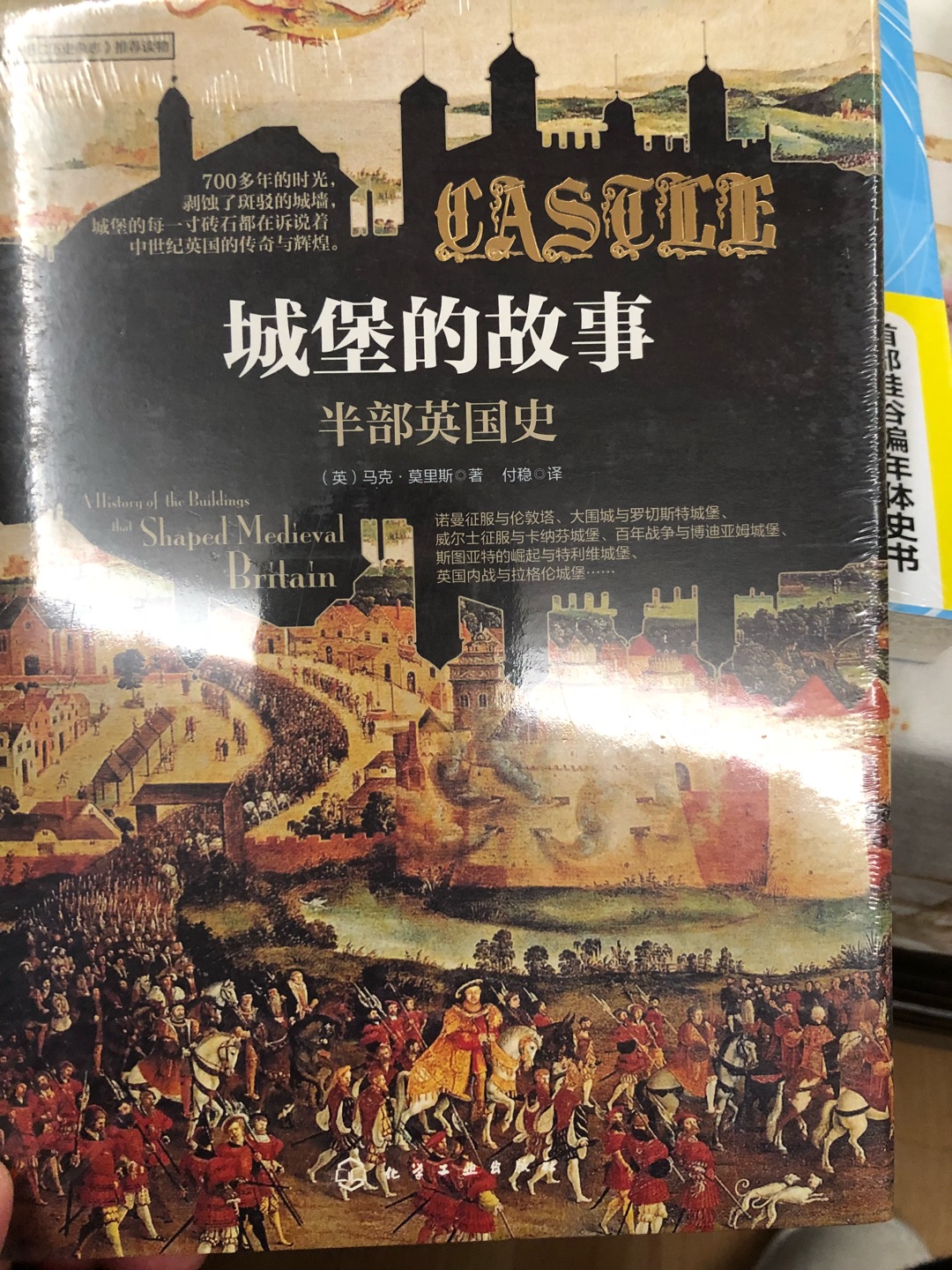 挺专业的书，很多图片。搞懂城堡，会悟透很多欧洲史。