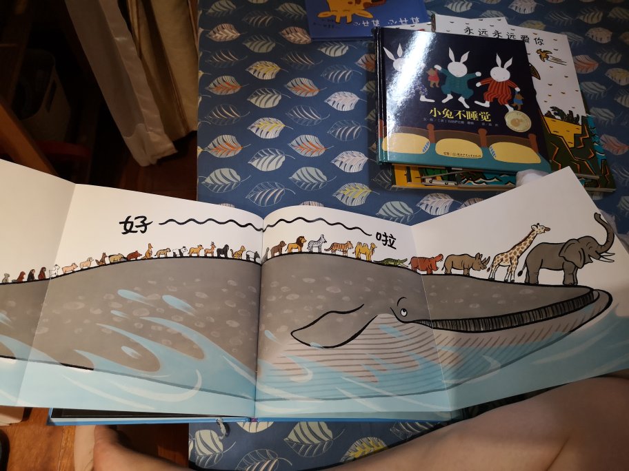 这是一本很特别的绘本，里面有涉及超过50中动物哈，都各有各自的特点，对喜欢小动物的小朋友来说是挺好的启蒙书籍，特别是鲸鱼海盗船的页面也是很特别，值得推荐哈！