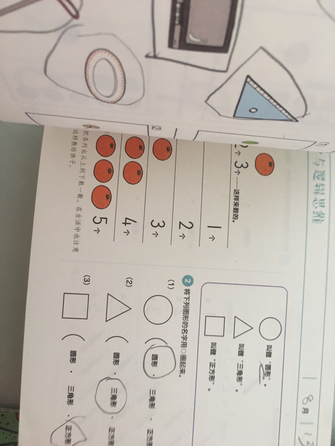 根据孩子生长发育特点研究独特的七天真早教方法，帮助孩子左右脑协同发展，唤醒沉睡的大脑，让孩子在看似轻松实际经过精密编排设计的游戏中，着重训练孩子的专注力与记忆力，使孩子对于上小学之前需要掌握的十大基本认知：颜色、形状、大小、数、量、时间、空间、比较、顺序、钱币等能够有更好的理解和掌握。全书包含3~4岁、4~5岁、5~6岁、幼小衔接四个分册，此书经过实践验证能够真实有效地提高孩子思维能力的游戏书，因此是日本近半数家庭的选择。