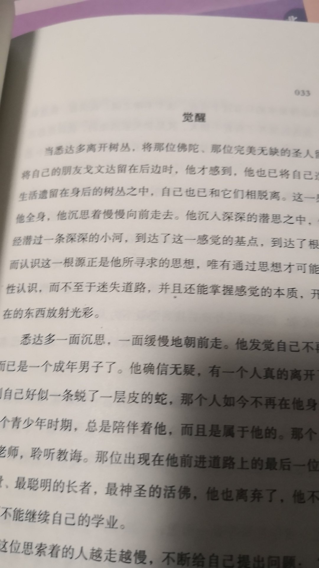 黑塞的名作，薄薄的一本，阅读没压力。张佩芬的翻译值得信赖，专门买的这个译本。