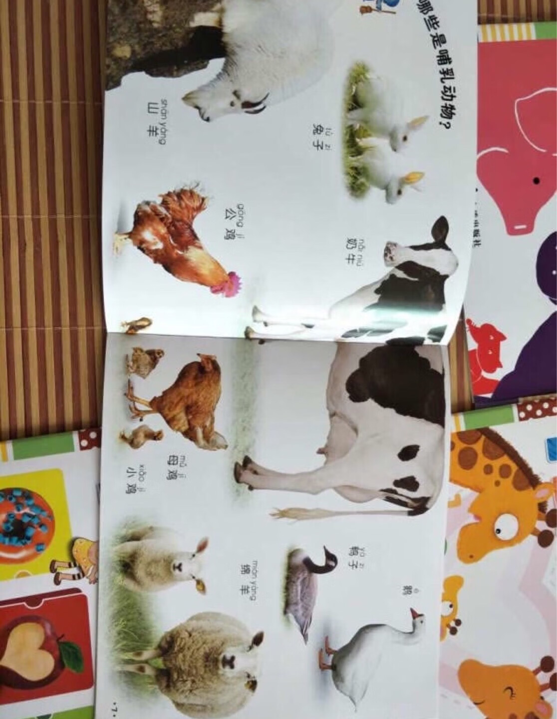 女儿特别喜欢动物世界的那本书，就是纸太薄了，已经撕坏了几页