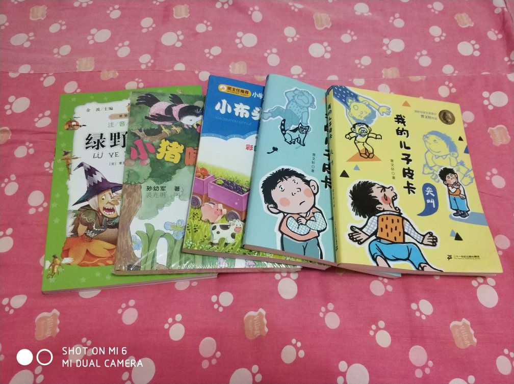 孩子在幼儿园说老师给讲的故事，他喜欢现在买给他看，还有拼音。正好有活动很合适，买了几本。物流很快隔天就到了。