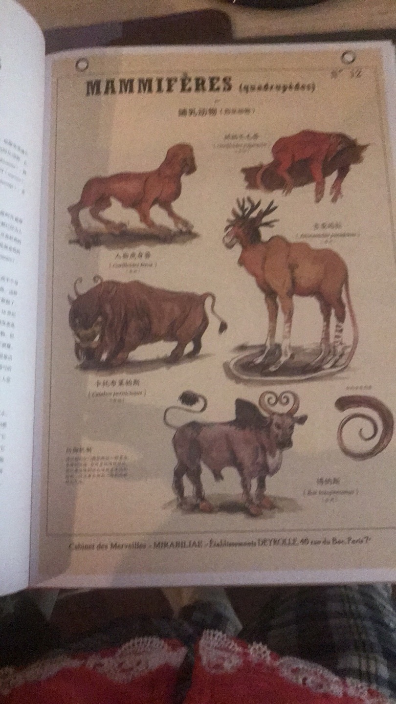 还好看的一本书 很有意思 据说很多小说的神奇动物原型都来源如此？