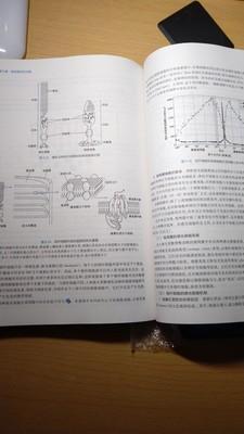 包装严实无破损，质量很棒，纸张很厚实，字体清晰，价格实惠，非常满意