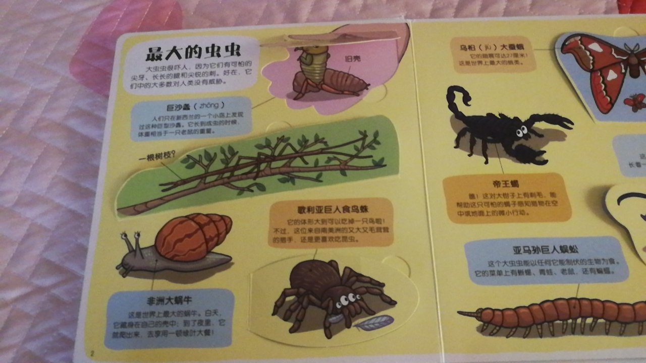 这本书不错 孩子两岁十个月很喜欢看 经常要拿出来让我讲给他听 书里的内容很丰富 设计了很多小机关可以打开看 虫虫 的种类也比较多 孩子都很喜欢 并且记住了蛞蝓 蠷螋 出乎意料 还有那本五花八门的交通工具也很不错 都是每天必看的 Zen Cart Magento