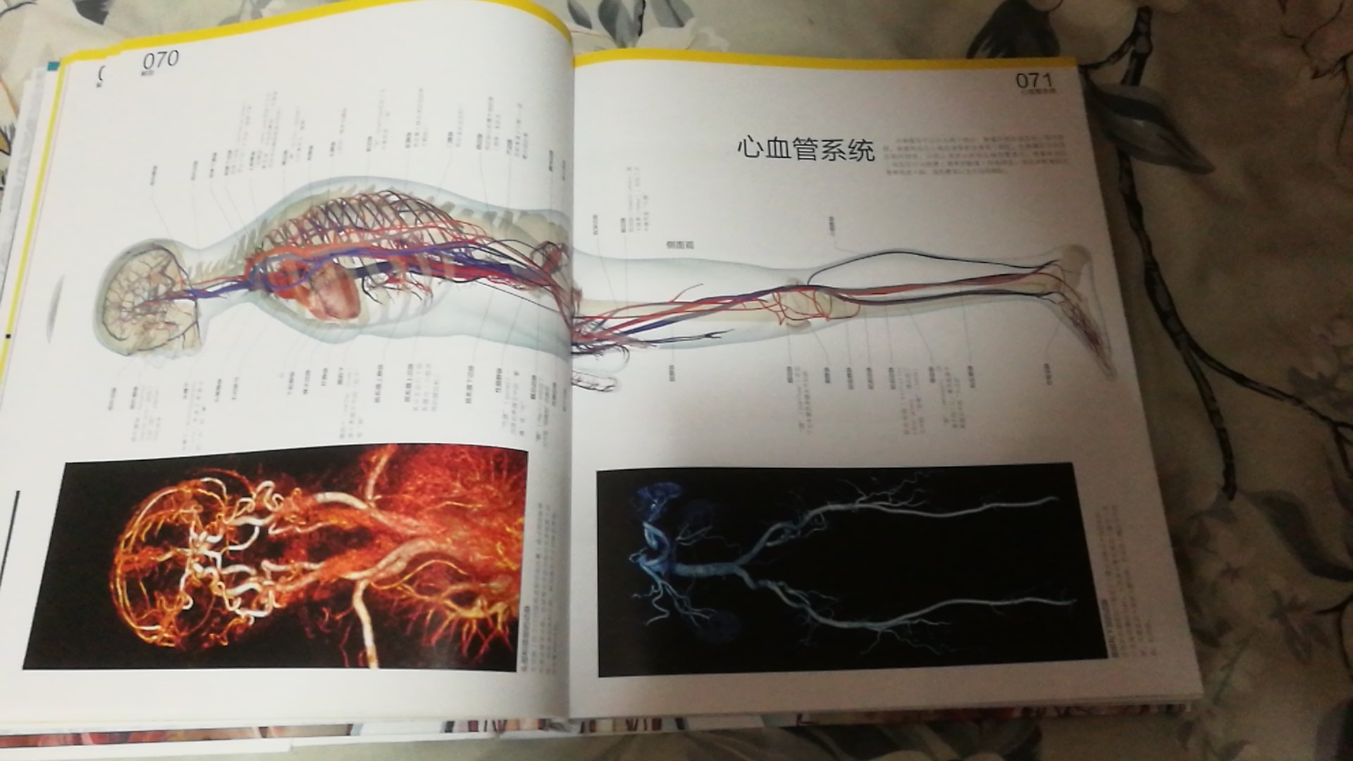 画面超清晰，非常棒，如果孩子感兴趣，真是很好的教材