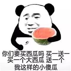 旧人旧书旧日时光，仅此而已