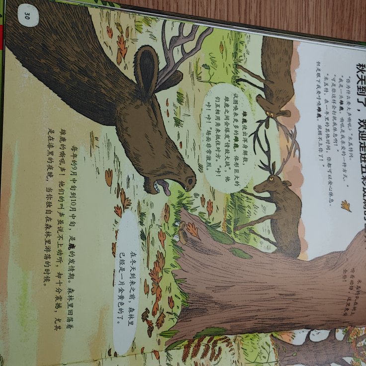 超级棒的一本有关森林的书，图画很精美，赏心悦目，知识也很详细，值得给孩子买，特别是这种有关大自然的科普书，小动物的形象都特别可爱，不仅讲了很多小动物的知识，还讲了全球不同地区的森林
