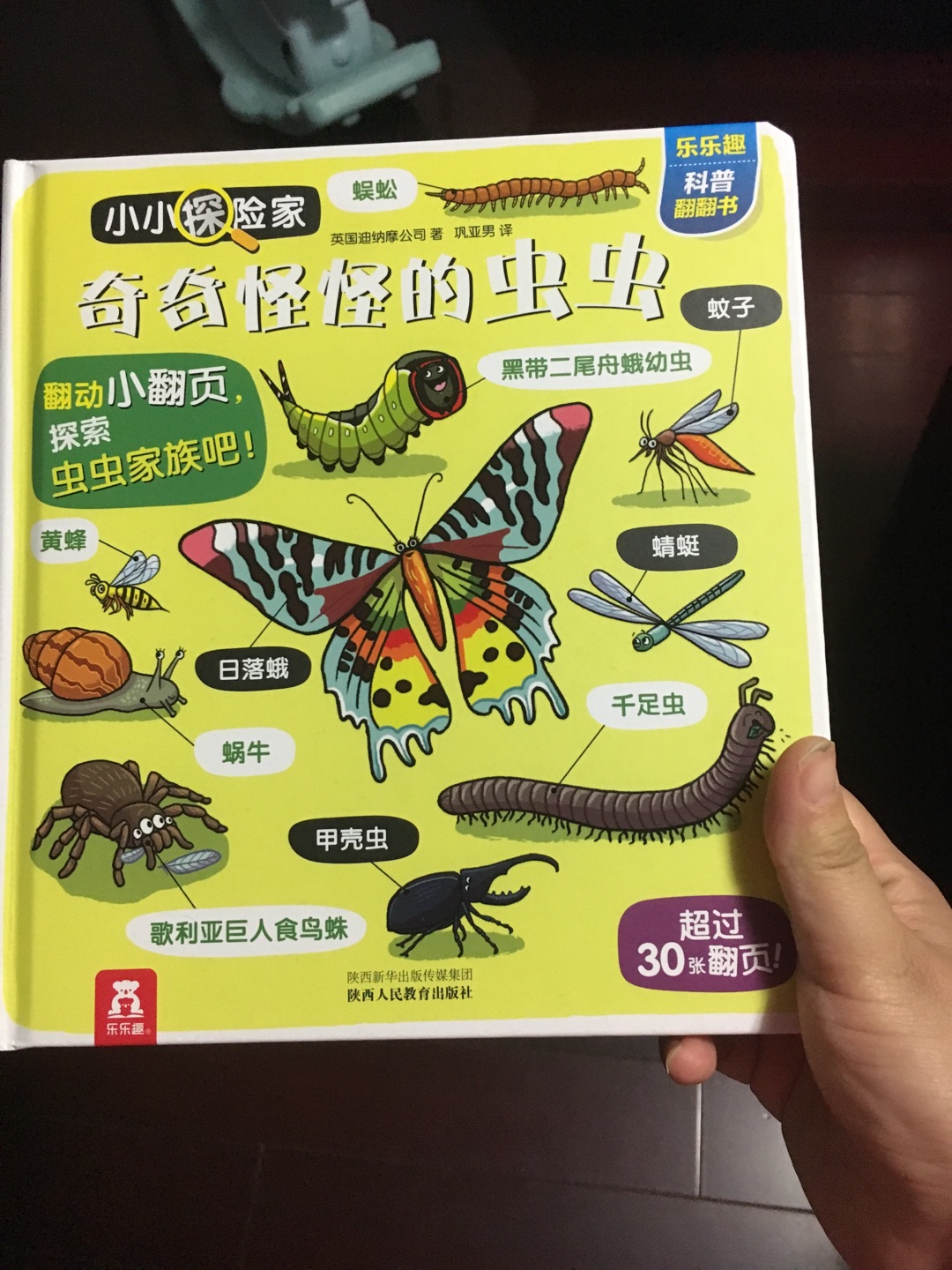 给孩子认识昆虫的书，不过感觉有些昆虫都是学名，或者有的平时不常见到，看看吧！