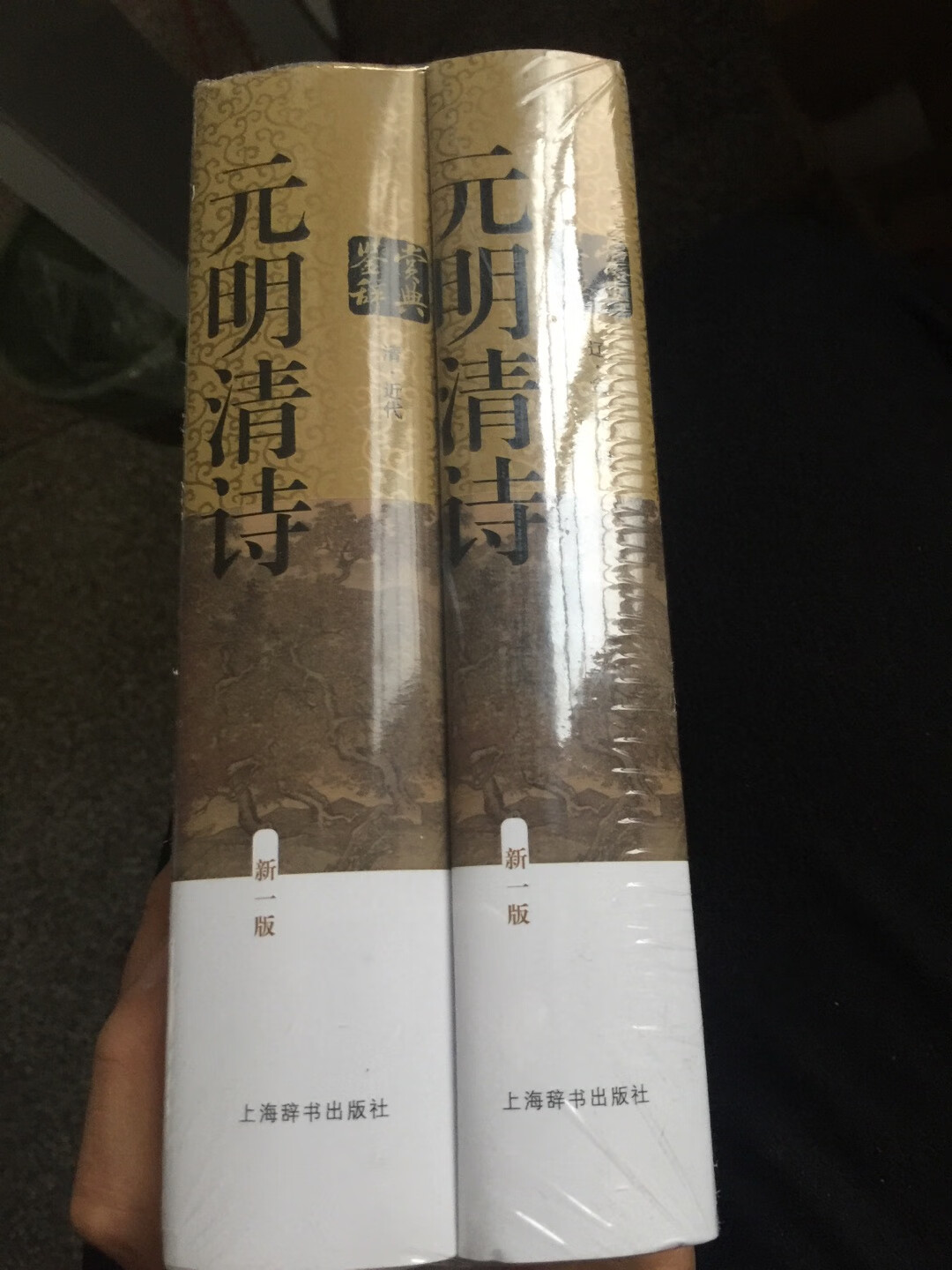 上海辞书出版社出版的鉴赏词典系列 因为是旧版翻新 有部分选择标准落伍的弊端 但是大部分都是经得起检验的名篇 作者也多是名家 不可多得