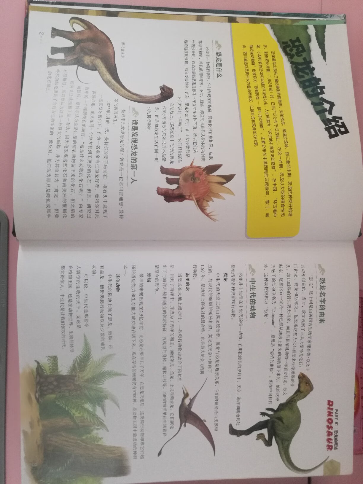 家里有个恐龙控的闺女，得到这本中国恐龙百科全书真是乐开花了。这本书实在是一本重量级的百科全书，内容特别丰富，纸质也非常好，全书厚度达4.5cm重量达到1.95KG，小孩自己拿这本书要靠抱的。全书共介绍了三百多种恐龙，每种恐龙除了有基本的概述以外还会从有恐龙档案，辞源和标本的介绍，非常全面。内页图片看起来有点3D的立体感，色彩比封面靓丽，看着很舒服。买书上准没错了，活动时候入手更超值，喜欢恐龙的放心入哦，有了这书就好比家里有了恐龙博物馆。