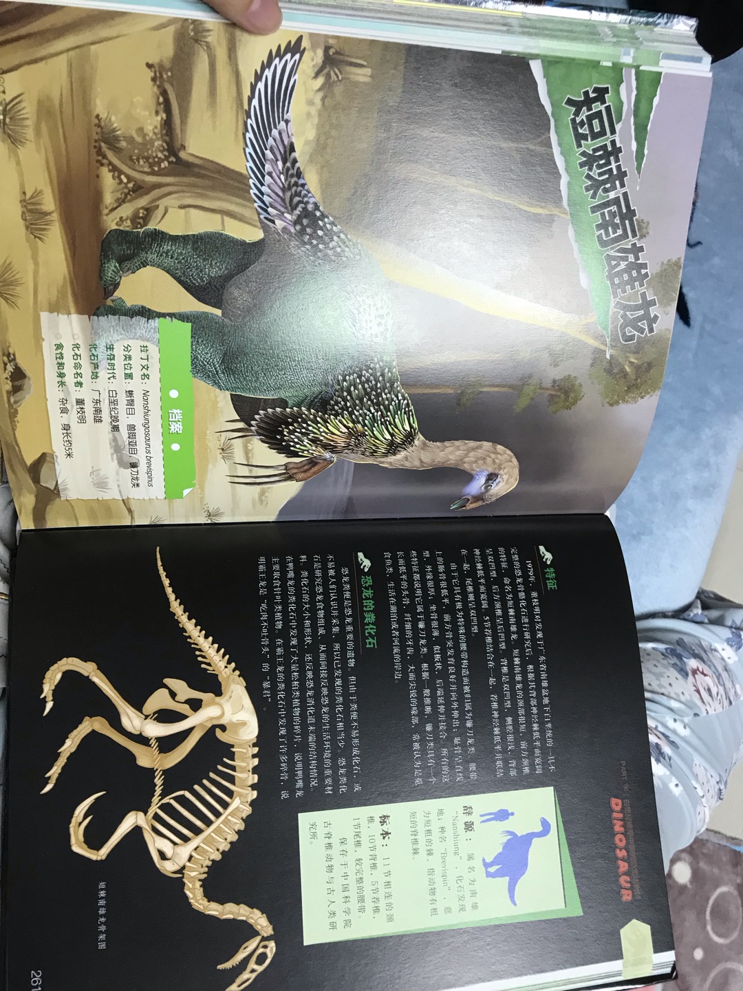 很好的一套书，对于女儿这个恐龙迷来说简直就是最好的礼物了。对恐龙每个族群有很详细的介绍，比较适合8岁以上的孩子来扩展知识，，而对于3-6岁的阶段，光高清图片就能到爽啊……每个恐龙迷必备！