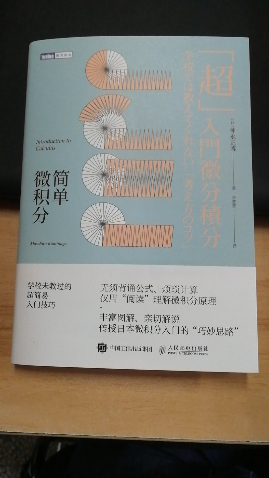 想学好数学，我觉得就是缺少这样的书！跳过公式看你能不能想到一种直观的理解方式！找到了，你就学透了！