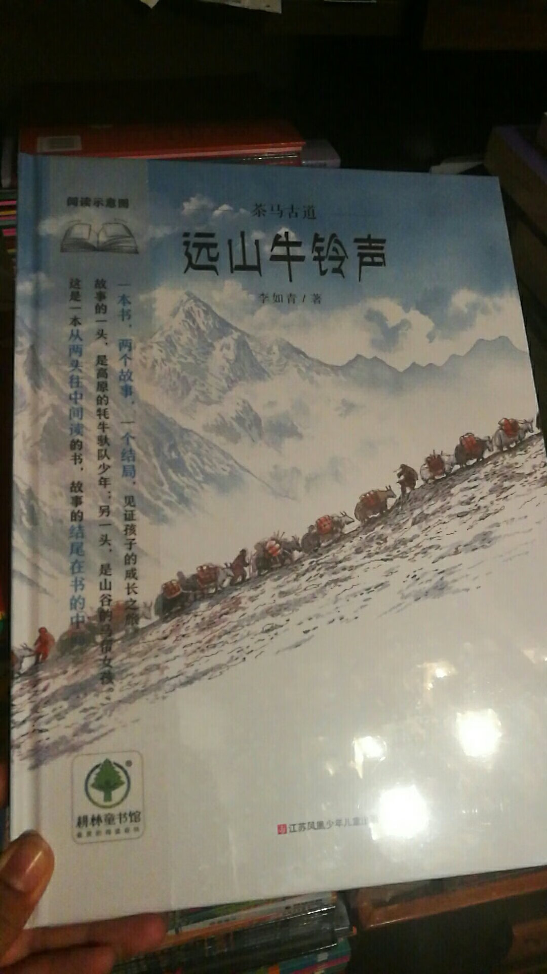 前后分别俩名字，其实就是一本书。茶马古道。虽然孩子已经很大了，但是觉得绘本阅读真的是不分年龄，尤其是这样有传承的，多看书吧，比啥都强