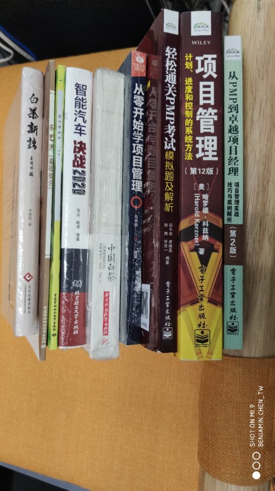已经买了几本关于PMP的书籍，试着看看与PMP考试相关的书。