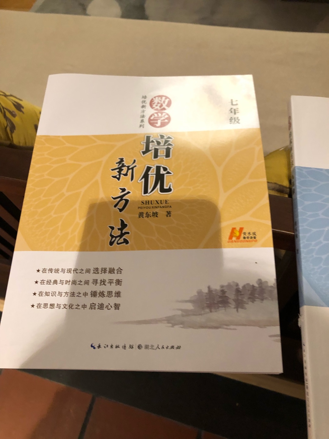 买给奥数迷的孩子，对思维有帮助