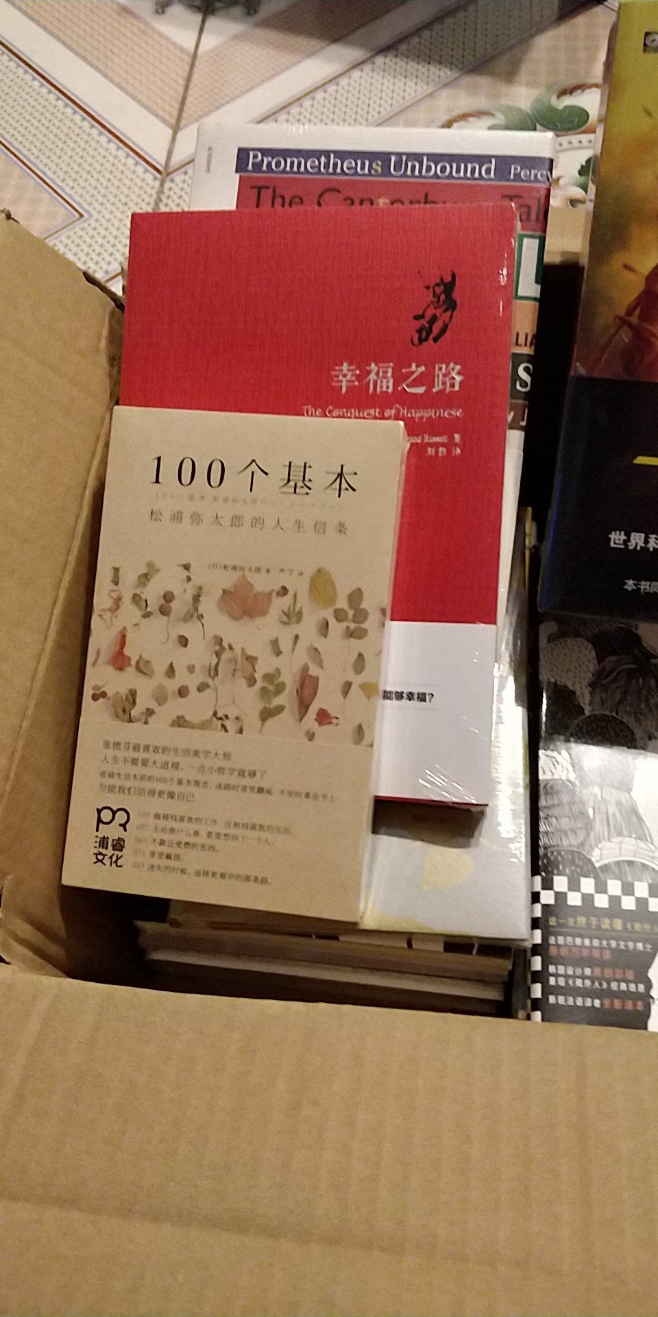 《我是猫》确立了夏目漱石在文学史上的地位。 小说采用幽默、讽刺、滑稽的手法，借助一只猫的视觉、听觉、感觉，以主人公中学教员珍野苦沙弥的日常起居为主线，穿插了邻居资本家金田企图嫁女不成、阴谋报复苦沙弥的矛盾冲突，嘲笑了明治时代知识分子空虚的精神生活，讥讽他们自命清高，却无所事事；不满现实，却无力反抗；平庸无聊，却贬斥世俗的矛盾性格，鞭挞金田等资产阶级人物及帮凶的势利、粗鄙、凶残的本性。小说构思奇巧 ，描写夸张，结构灵活，具有鲜明的艺术特色。