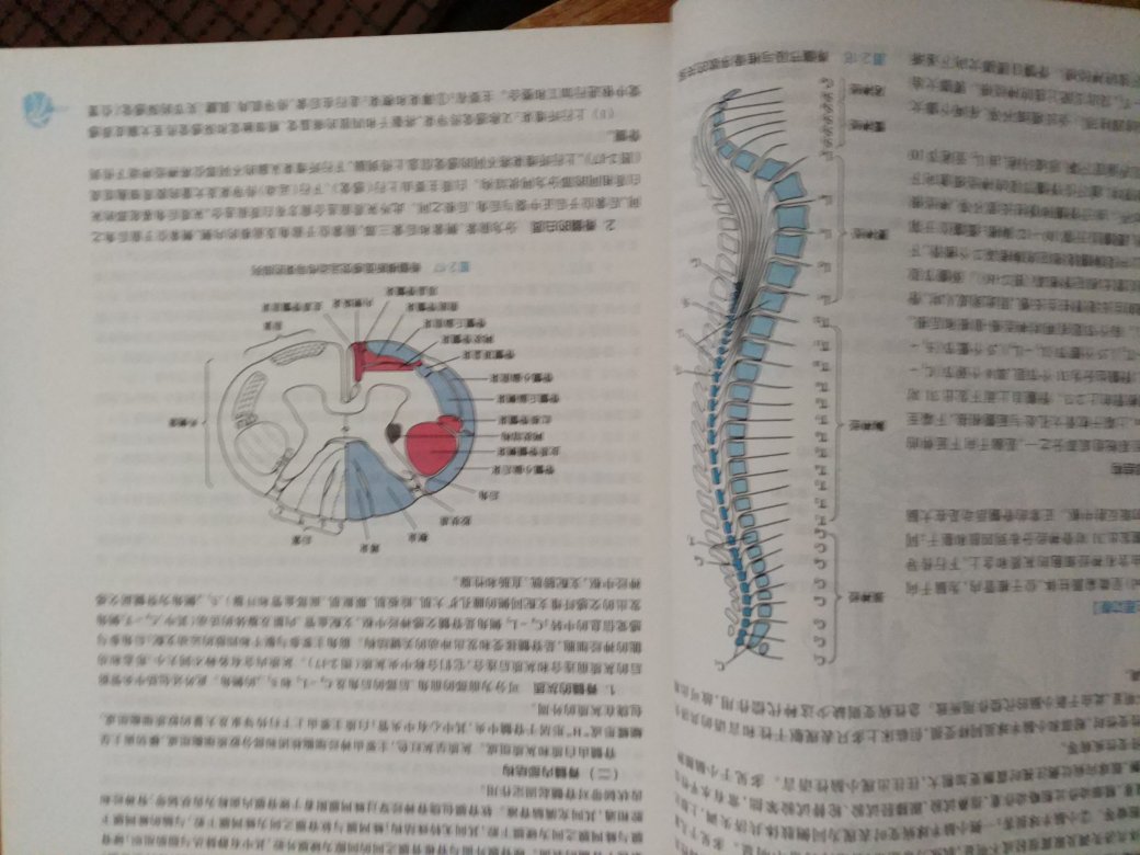 新版的课本内容详实，彩图搭配得当，讲解合理，值得研读！！！