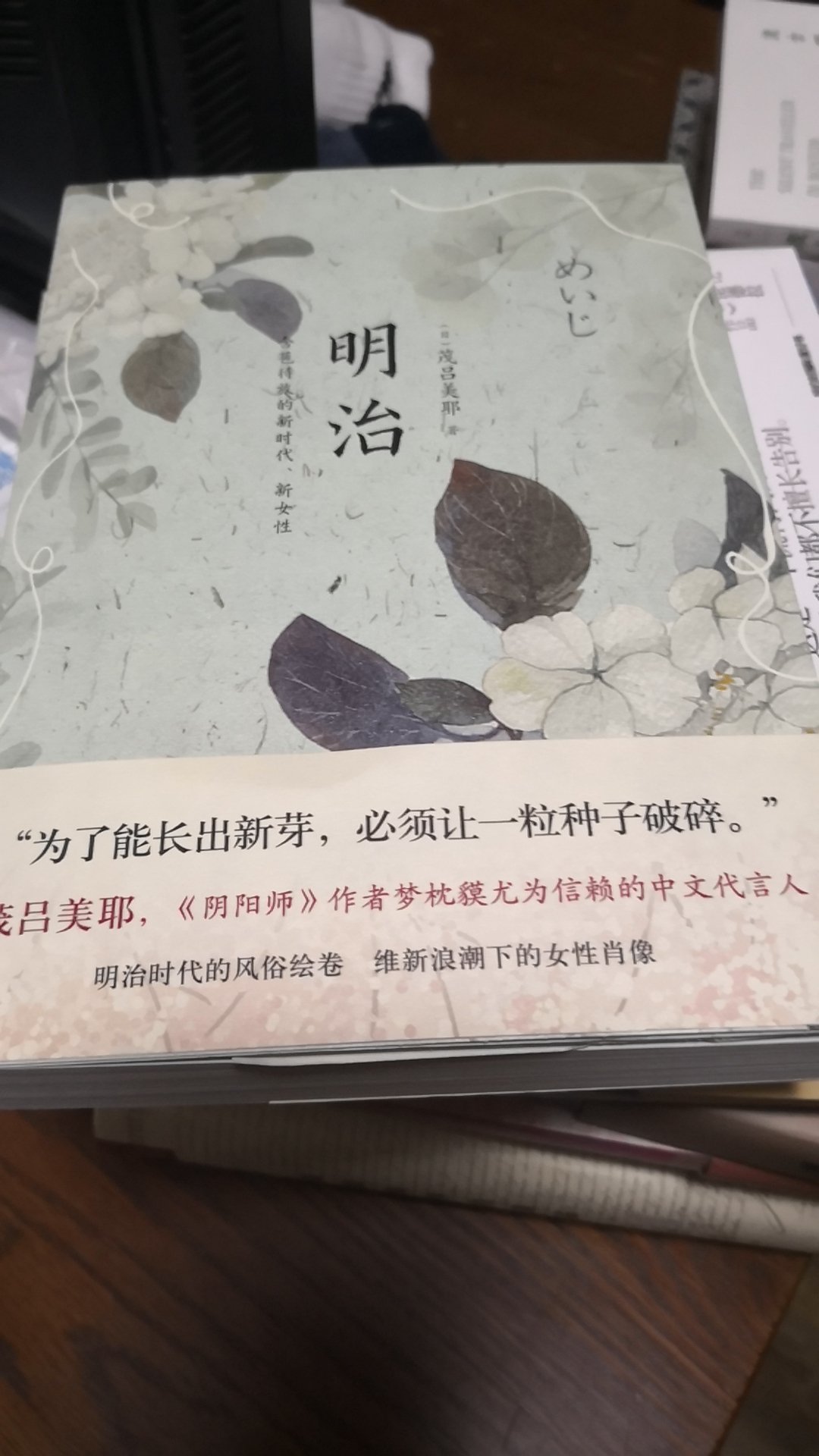 写~古代女性，谁还比她写的更好？书中大量插图与文字相得益彰！