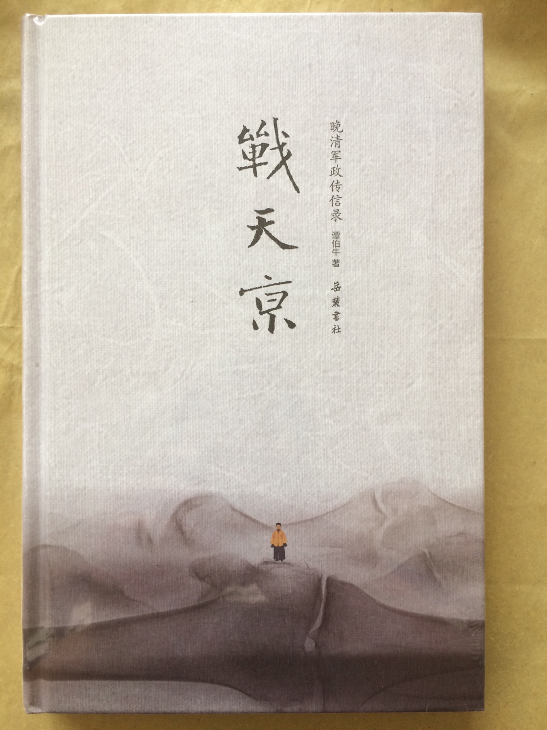 这本书写的是太平天国时期的内容，对这方面感兴趣的朋友，可以入手一个，比较不错，特别是它的封面非常好。