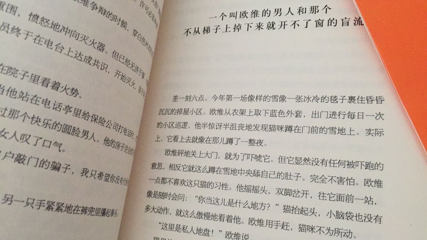 非常感人的小故事，虽然一开始突然一看有点莫名其妙，但是看段时间就知道作者细腻的感情，和故事真挚的美妙。感谢作者如此细心的刻画。