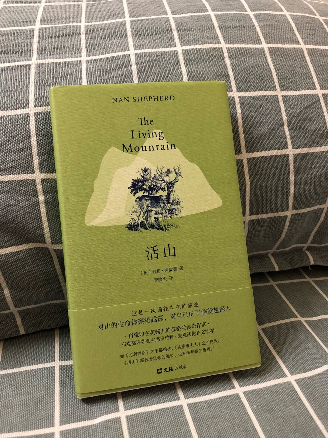 封面太好看了叭！看到我喜欢的作家黎戈在豆瓣上推荐这本书就马上下单买了，万幸**的物流也超快，当天就到了，这个周末就看它了！