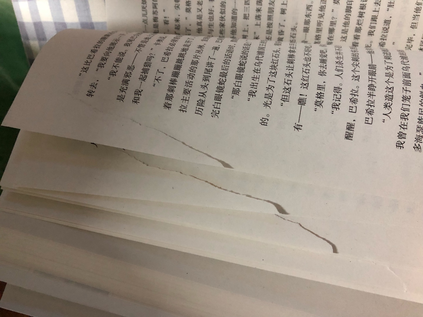傍晚收到的书、刚才打开发现有十几页是烂的。