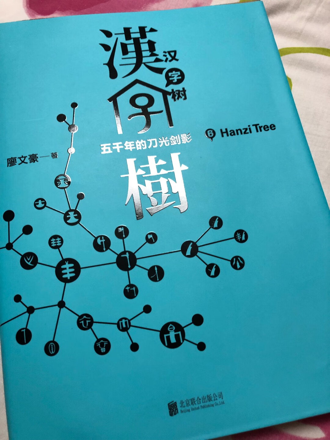 屯在购物车里好一阵，终于下手了。非常好的一套书，把汉字按体系整理，从原始符号到现代汉字的演变形态都收了。配送很快。