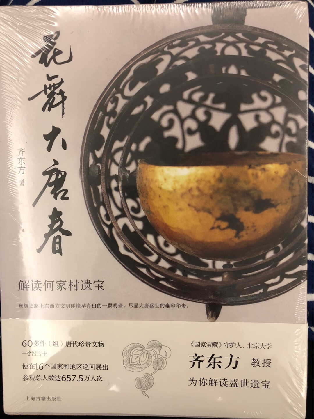 1970年10月发现的何家村遗宝，没有随着时间的流逝被淡忘，反而以独有的魅力，谜一样地吸引学界不断地探索、破解。唐代宫廷贵族生活、金银制作工艺、租庸调制、道教和医药、胡人和胡风等，都能在它们身上看见。何家村遗宝的主人是谁？精美的器物来自哪里？何时被埋入地下？为什么要埋入地下？国家宝藏守护人齐东方教授，为您解读何家村遗宝背后隐藏的故事。