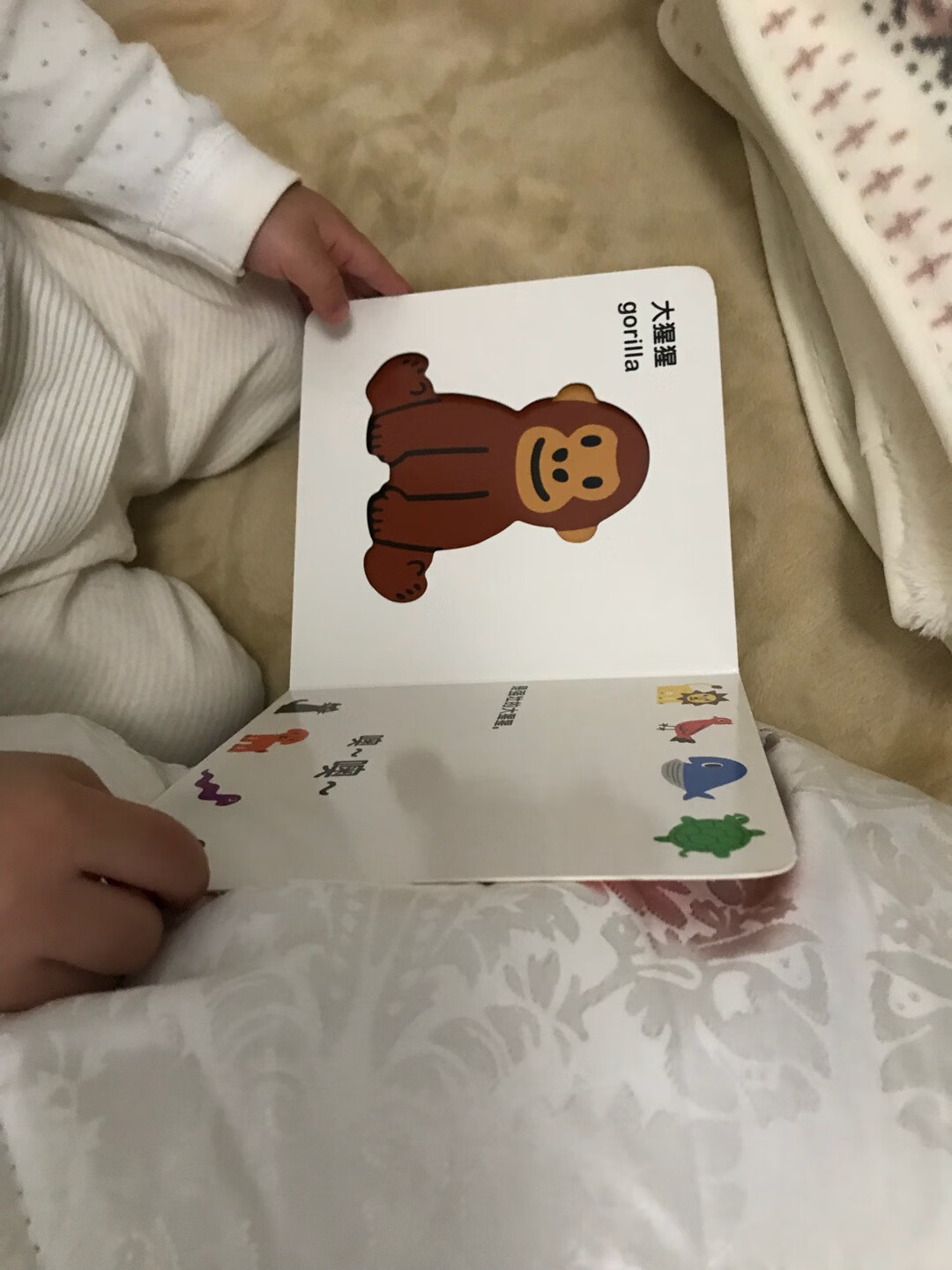 这套书挺不错的，图片也很好看，宝宝喜欢。