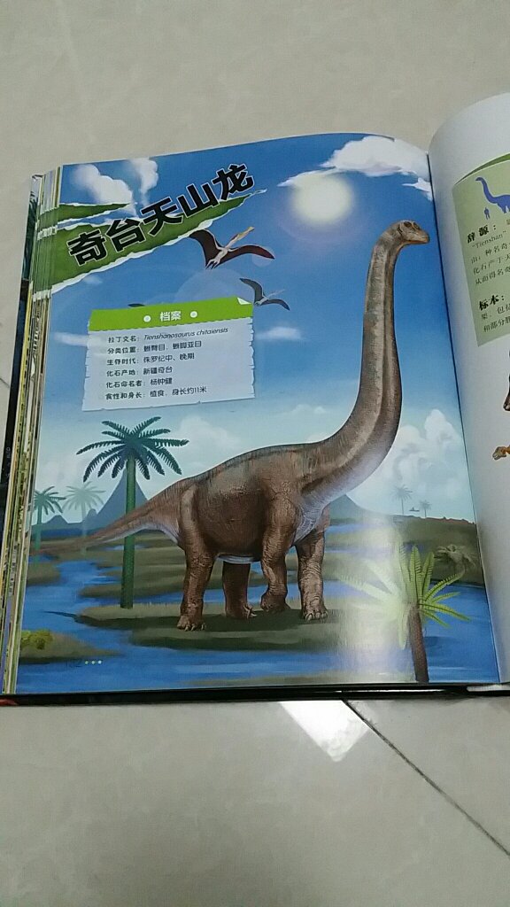 小孩一直很喜欢恐龙，但以往看的书都是外国绘本或科普，他也会问为什么我们这里没有恐龙化石。原来不是没有，只是我们接触的太少。通过这本中国恐龙百科，每只恐龙都有详细的介绍，了解到更多不同种类的恐龙。文字比较多，适合能自主阅读的小朋友，三年级以上。亲子阅读的话，小一点也行，丰富的页面色彩会大大引起孩子的兴趣。