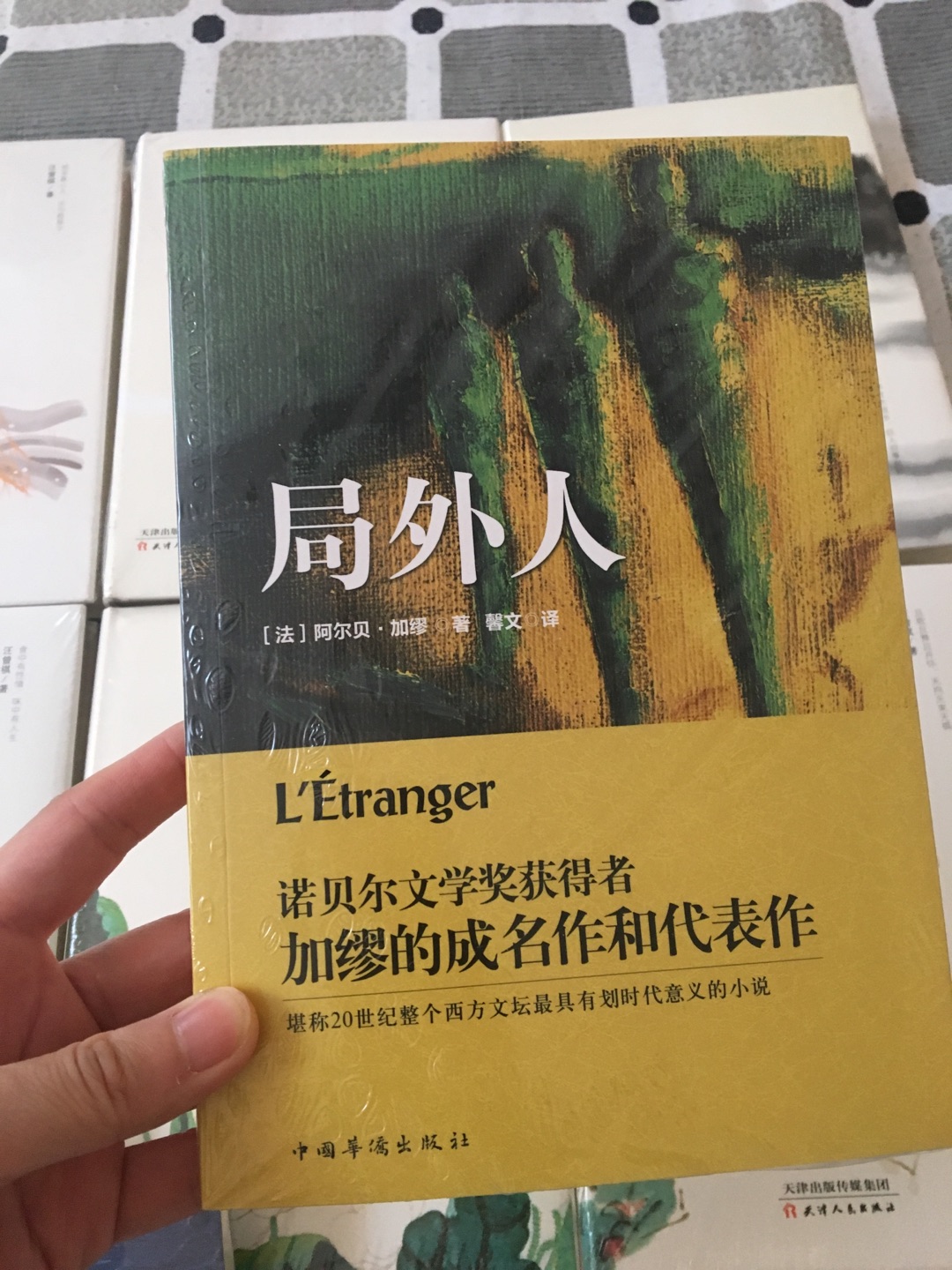 这本书的排版是我卒不喜欢的排版之一，字间距太大，稀疏的不得了，感觉浪费纸，个人喜好，书的本身没有问题，买书都成我每月的固定动作了，家里书柜都要不够放了。