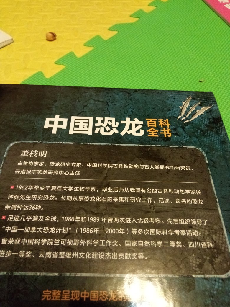 我家娃刚开始看的是时候，大概翻翻就说：这书不好，没有霸王龙。我当时就觉得明明那么喜欢恐龙，却只知道霸王龙，三角龙这些。因为每本恐龙书都只介绍这些恐龙，其实世界上有太多太多恐龙了，之前看的书还是太片面了。这本书是第一本专门介绍中国恐龙的百科全书哦。