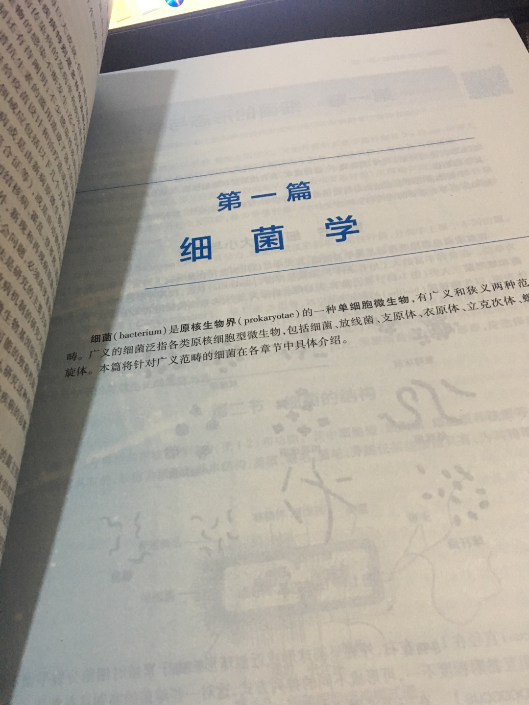 树质量不错 全新的 希望我下学期好好学习 别辜负这两本书