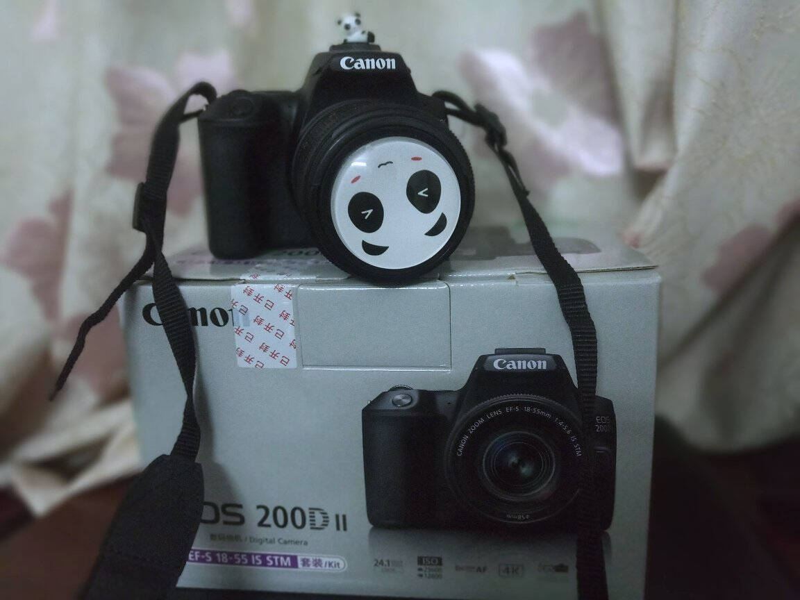 佳能200D二代200d2代单反相机入门vlog迷你单反数码照相机18-55mmSTM黑色官方标配.
