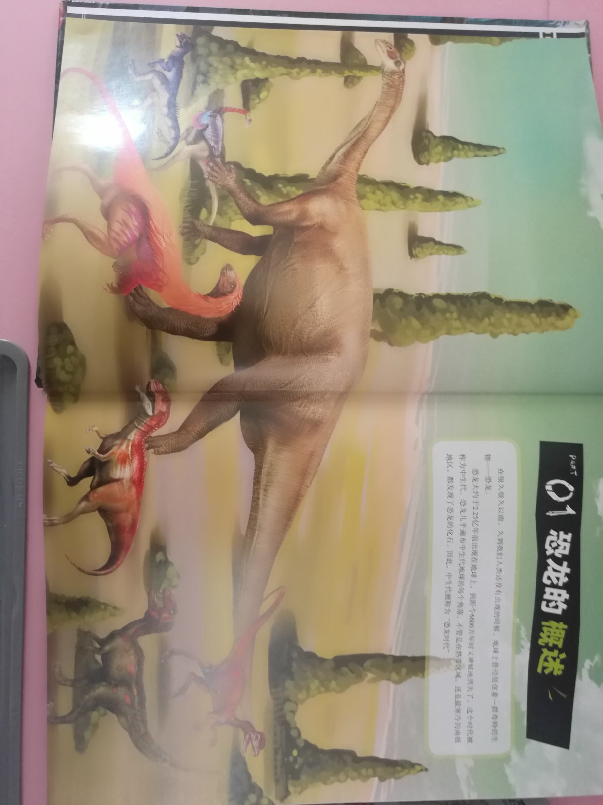 家里有个恐龙控的闺女，得到这本中国恐龙百科全书真是乐开花了。这本书实在是一本重量级的百科全书，内容特别丰富，纸质也非常好，全书厚度达4.5cm重量达到1.95KG，小孩自己拿这本书要靠抱的。全书共介绍了三百多种恐龙，每种恐龙除了有基本的概述以外还会从有恐龙档案，辞源和标本的介绍，非常全面。内页图片看起来有点3D的立体感，色彩比封面靓丽，看着很舒服。买书上准没错了，活动时候入手更超值，喜欢恐龙的放心入哦，有了这书就好比家里有了恐龙博物馆。
