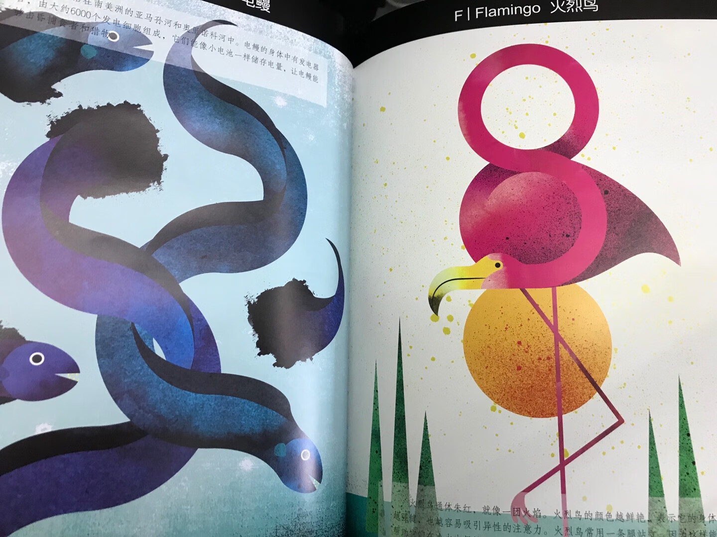 这本书是继《世界趣味版》之后我最喜欢的马克马丁的一本书。作者选择了偏平面的画风，将动物形态特征进行艺术加工和变形，选择有强烈视觉冲击力的配色，真的是每一幅画都让人觉得特别抓眼球。最喜欢极乐鸟那一幅，之前在《世界神奇动物》里面看到过极乐鸟，几乎是一眼就喜欢上啦~