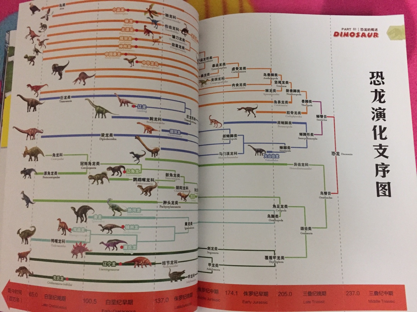 中国恐龙百科全书由“中国恐龙之父”董枝明编著。书中栩栩如生地从恐龙的起源、发展、和灭绝的历程讲起，精选160余种中国特有的恐龙，按照不同的年代（侏罗纪、白垩纪）进行详细介绍，辅以精心绘制的插画，力求还原真实的中国恐龙面貌，让孩子了解中国独有的恐龙。书开头概述部分在时间轴上汇总了书中提到的恐龙，小朋友对这些恐龙出现的先后顺序可以一目了然。后面逐一对恐龙予以讲解，包括它们的分类、分布、特点、资料档案等，内容严谨又不失趣味，绝对是一本可以传承的好书。