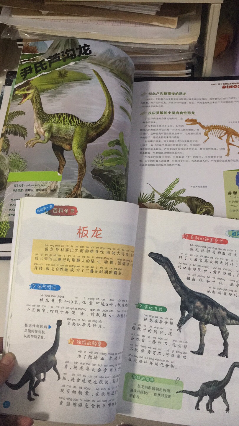 送货的速度真是快，之前孩子去我们这里的展览馆看了恐龙，很有兴趣就买了一套小的恐龙百科，看完觉得介绍的有些太笼统。索性这次买了这本《中国恐龙百科全书》，果然没有选错，本书是专门介绍中国恐龙的，真没想到只中国就有160多种不同的独有的恐龙。书里面脉络也很清晰的把恐龙纲目都列出来了，图片也都颜色鲜明，每只恐龙的时代产地名字来由特性标本都很详尽的做了介绍。
