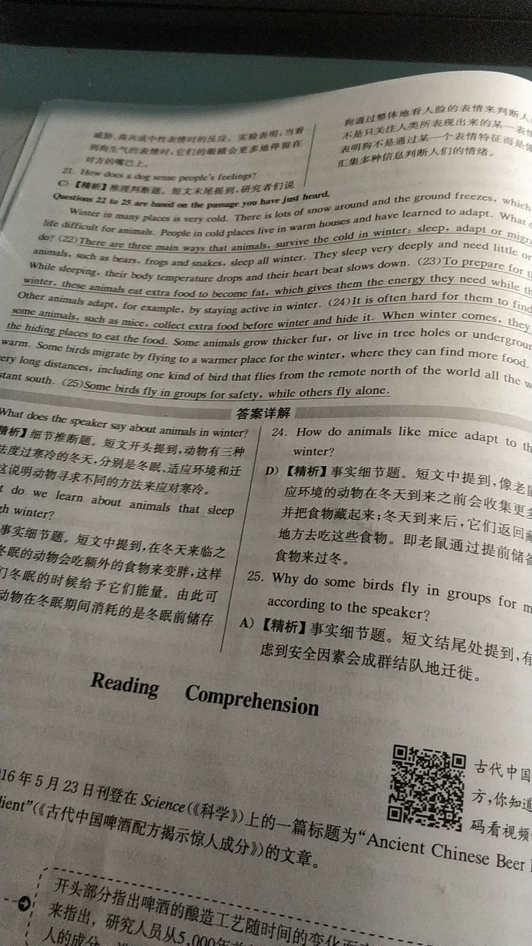 蛮好的！如果有单词就更好了.