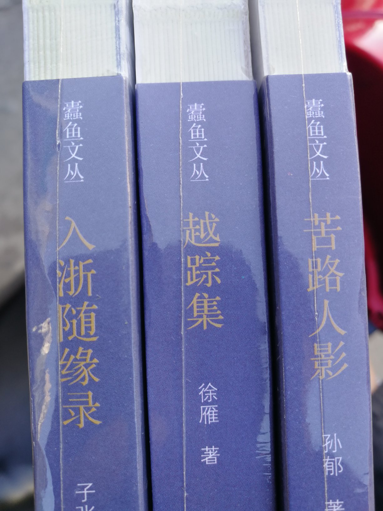 以作者历年在浙江的行踪为线索，记叙了若干书人书事，又以“外篇”的形式，发掘浙江各地的历史文化内蕴。