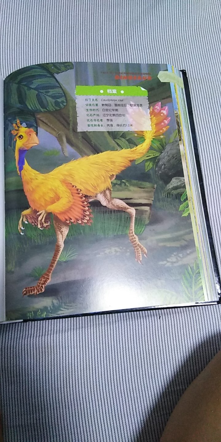 这本书详细的介绍了160多种不同的中国独有的恐龙，每一页都有特别#真的插图，展现了许多恐龙的细节。这本书特别适合男孩看，让孩子了解恐龙的生活。多多小朋友特别喜欢，每天都特别想看睡前总是让爸爸讲。
