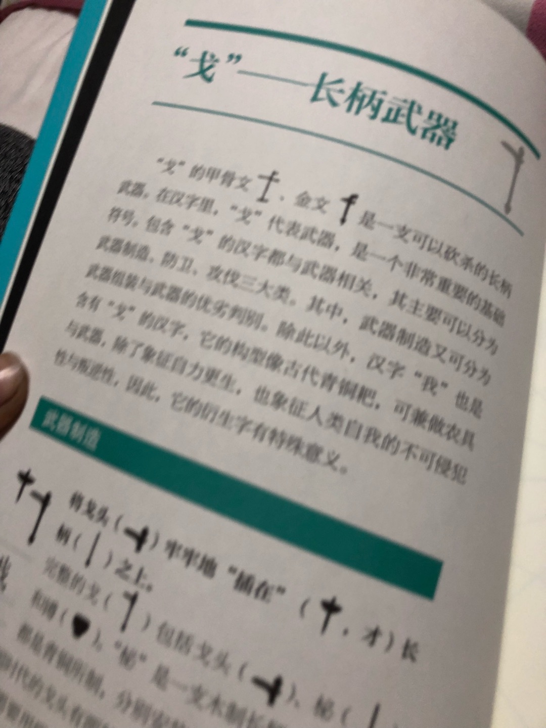 屯在购物车里好一阵，终于下手了。非常好的一套书，把汉字按体系整理，从原始符号到现代汉字的演变形态都收了。配送很快。