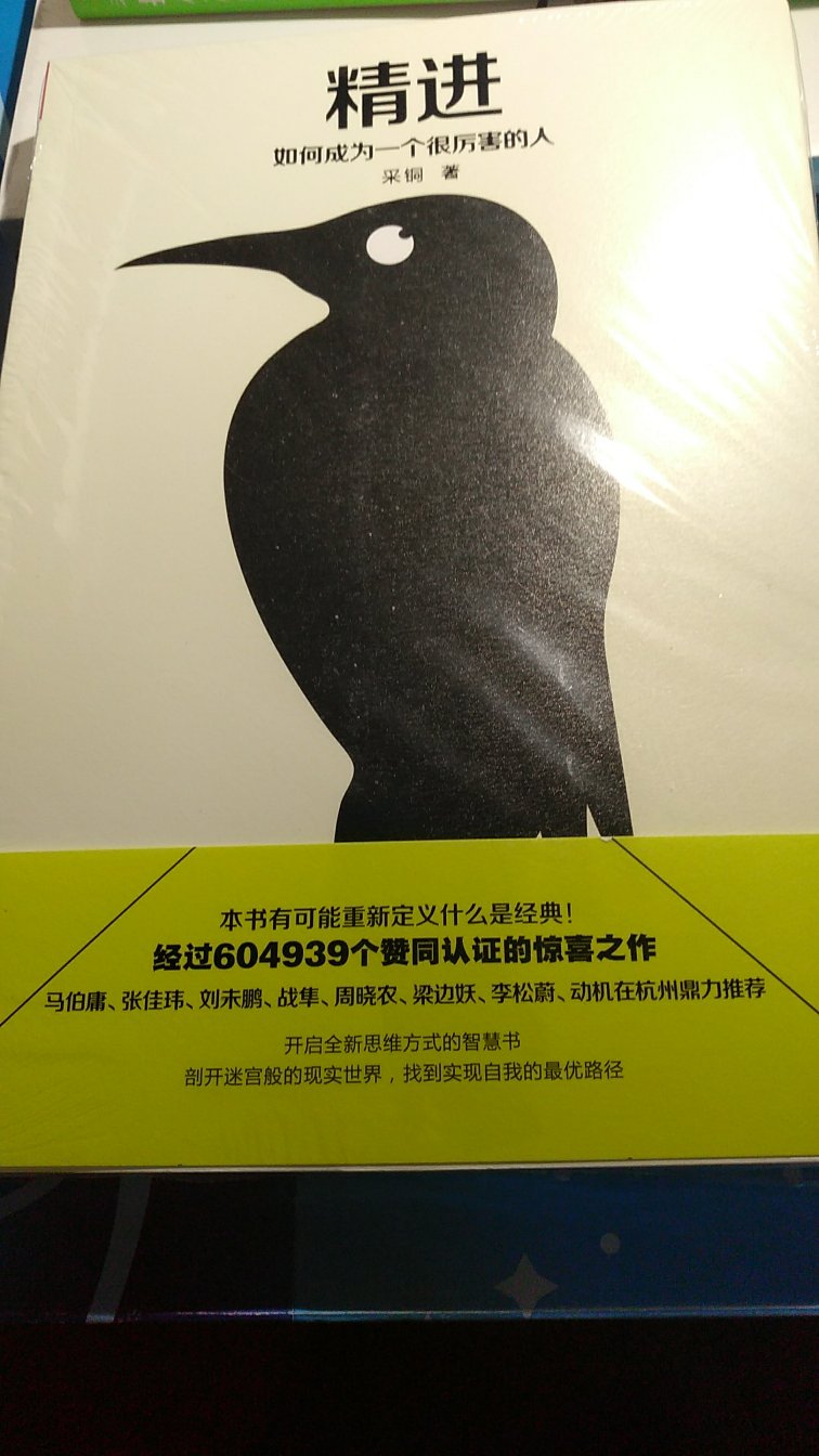 看看这本书，探究如何成为一个很厉害的人，这本书可以告诉我一些方式方法。