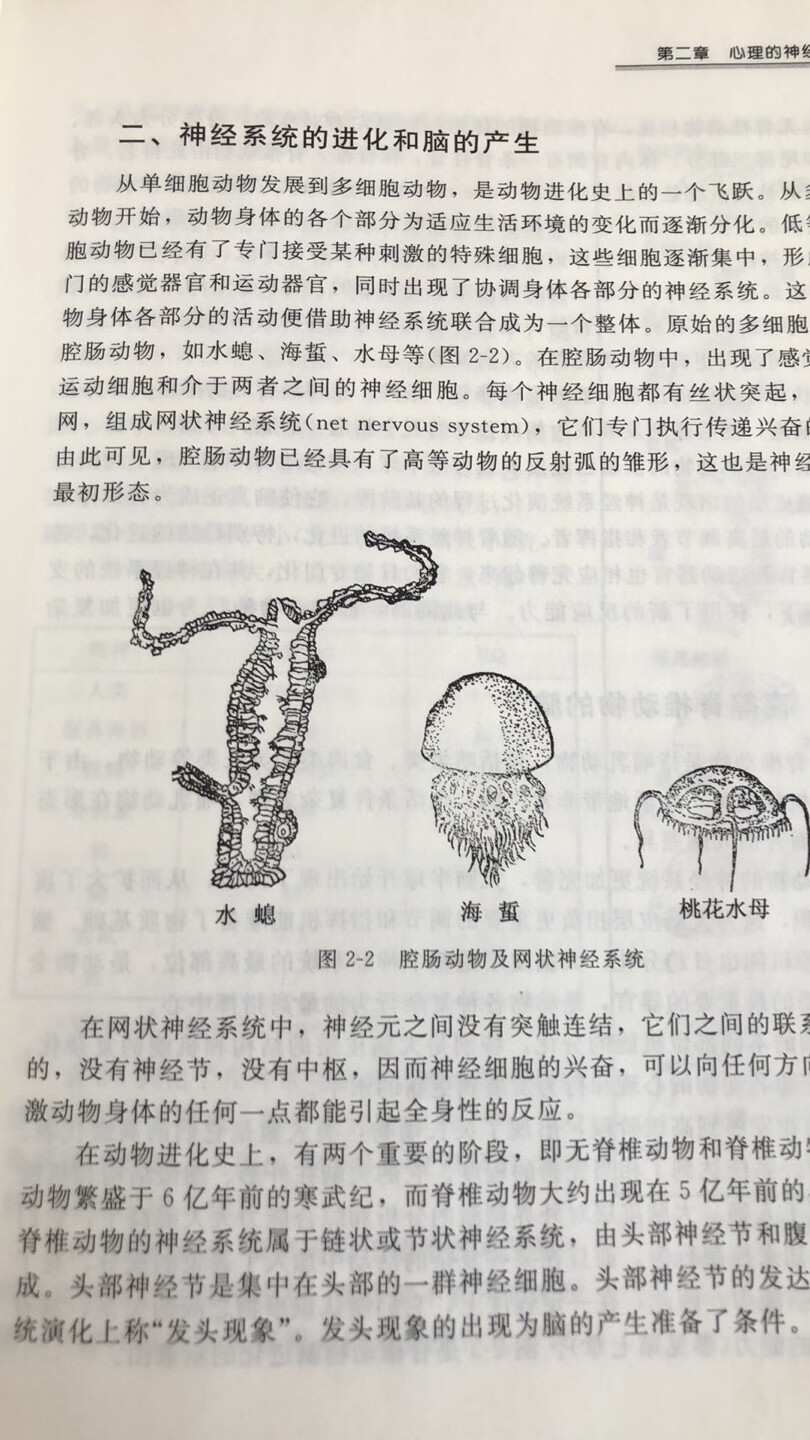 很好，速度很快，好评