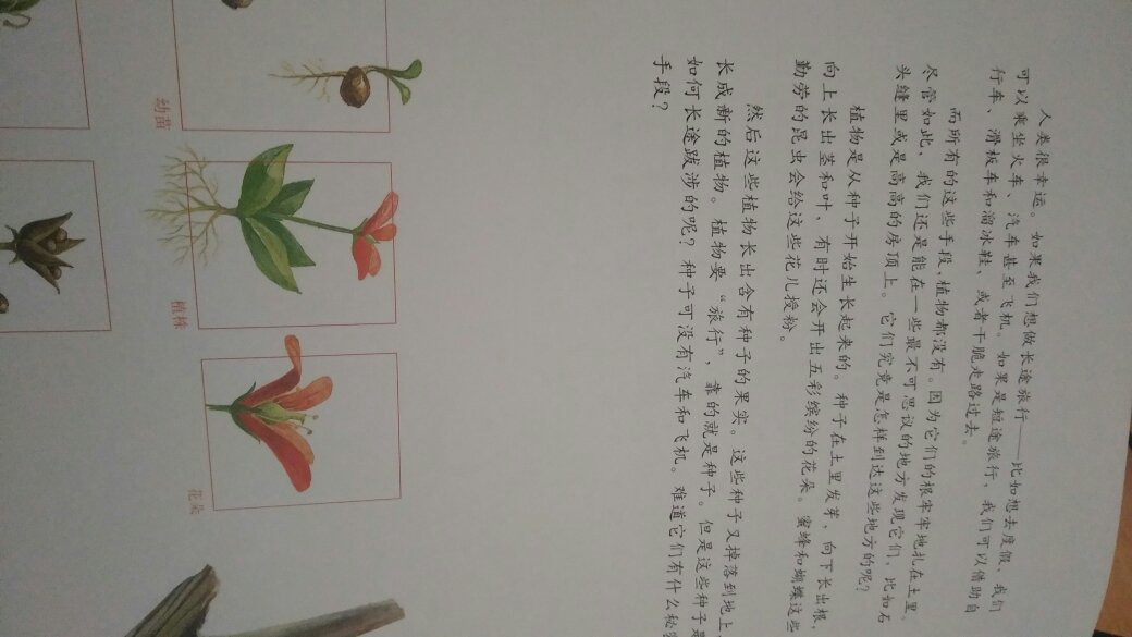 质量上乘，孩子愿意读，纸质内容孩子都喜欢，满减加券，物流，棒棒的体验，购图书上