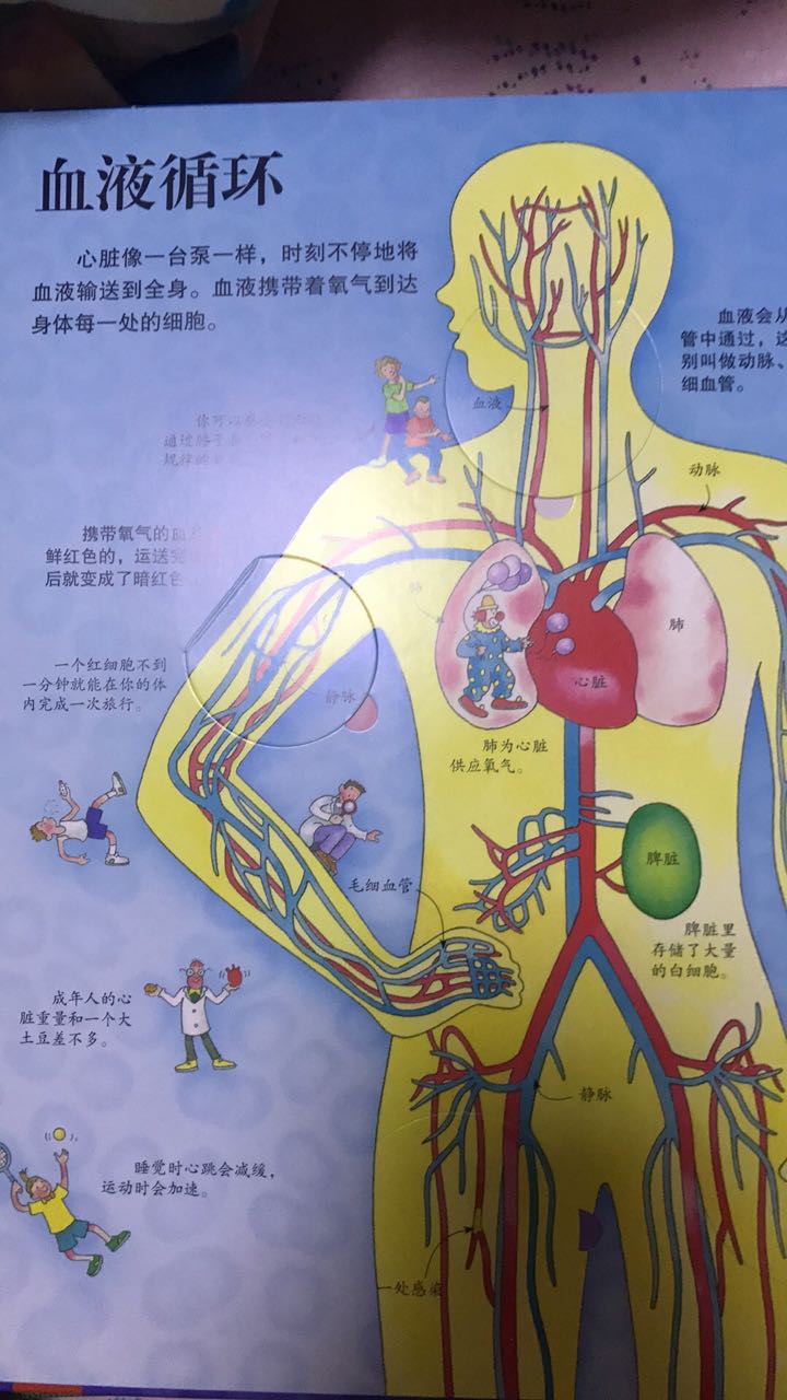 晚上刚拿回来就要求要看，揭秘系列都不错。正好孩子喜欢身体这个，看的很认真。双11很优惠