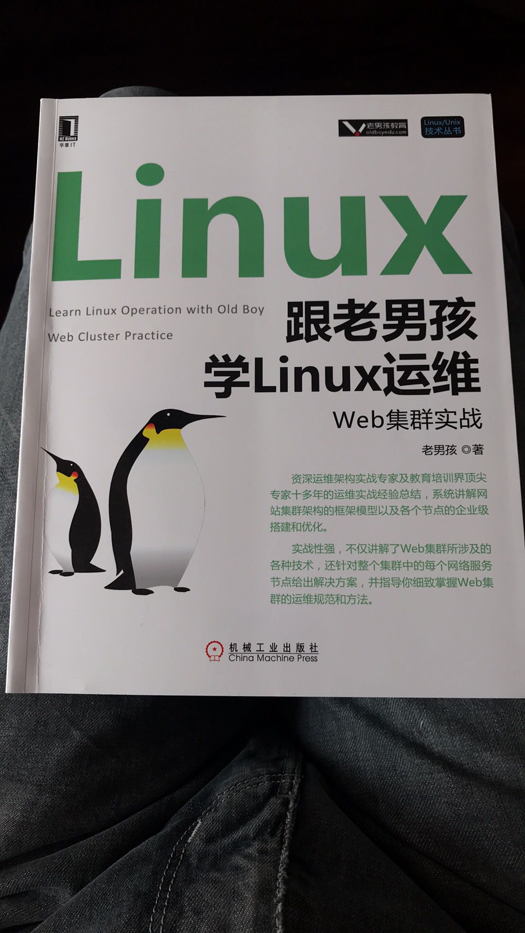 还没开始阅读，看目录讲的很详细，适合初学者。