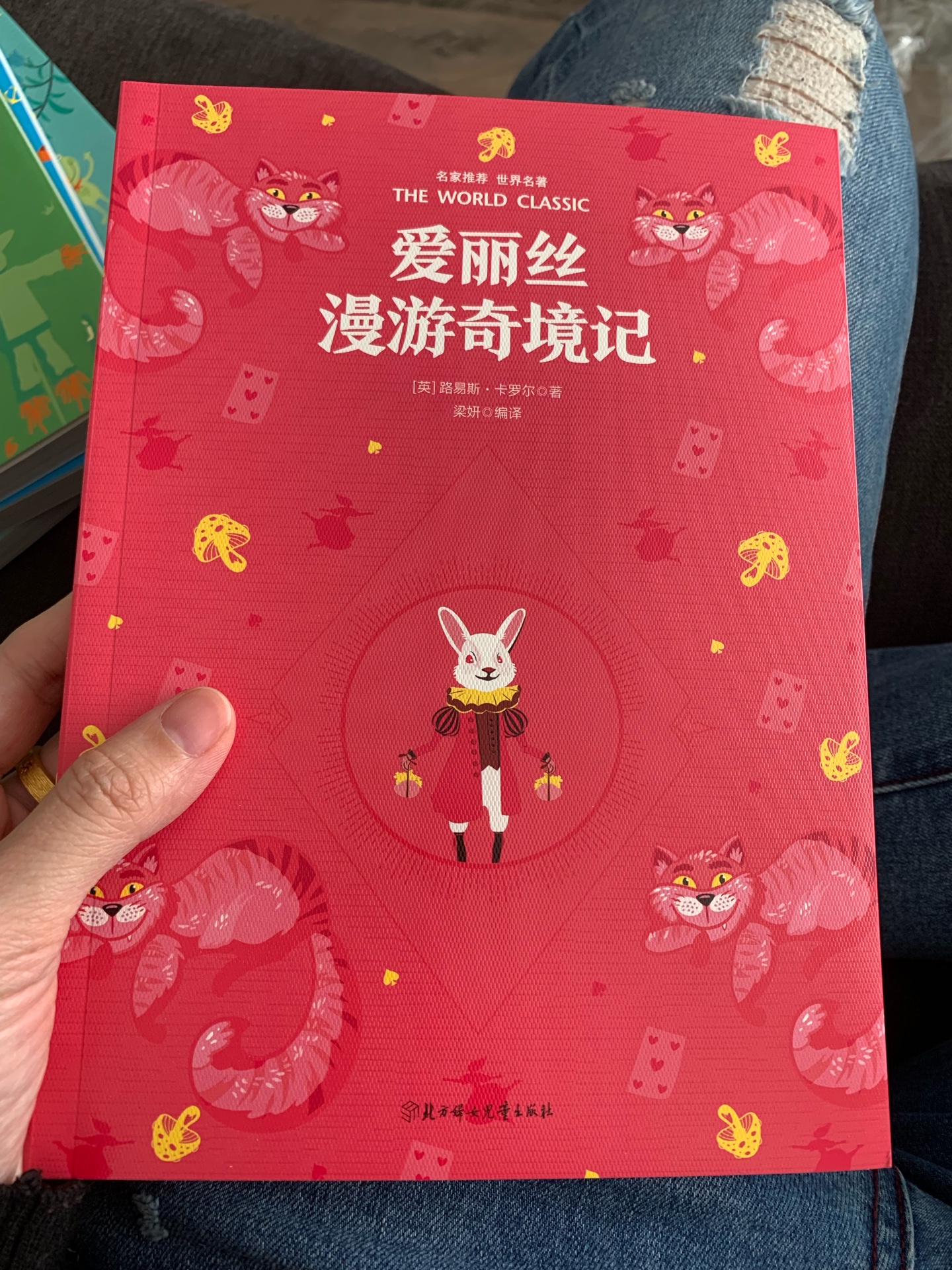 虽然没有拼音，但是图文并茂的内容挺适合小学生的，很喜欢这套书