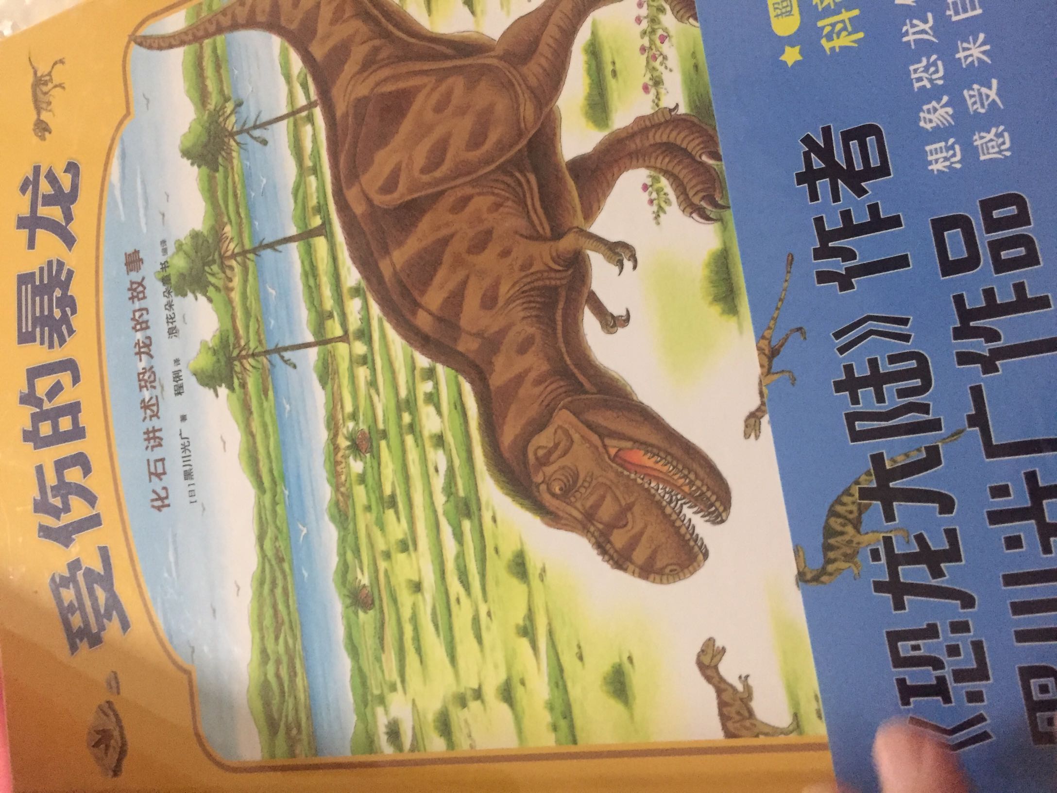 儿子很喜欢黑川光广的恐龙大陆，这次给他买了他的这本书。